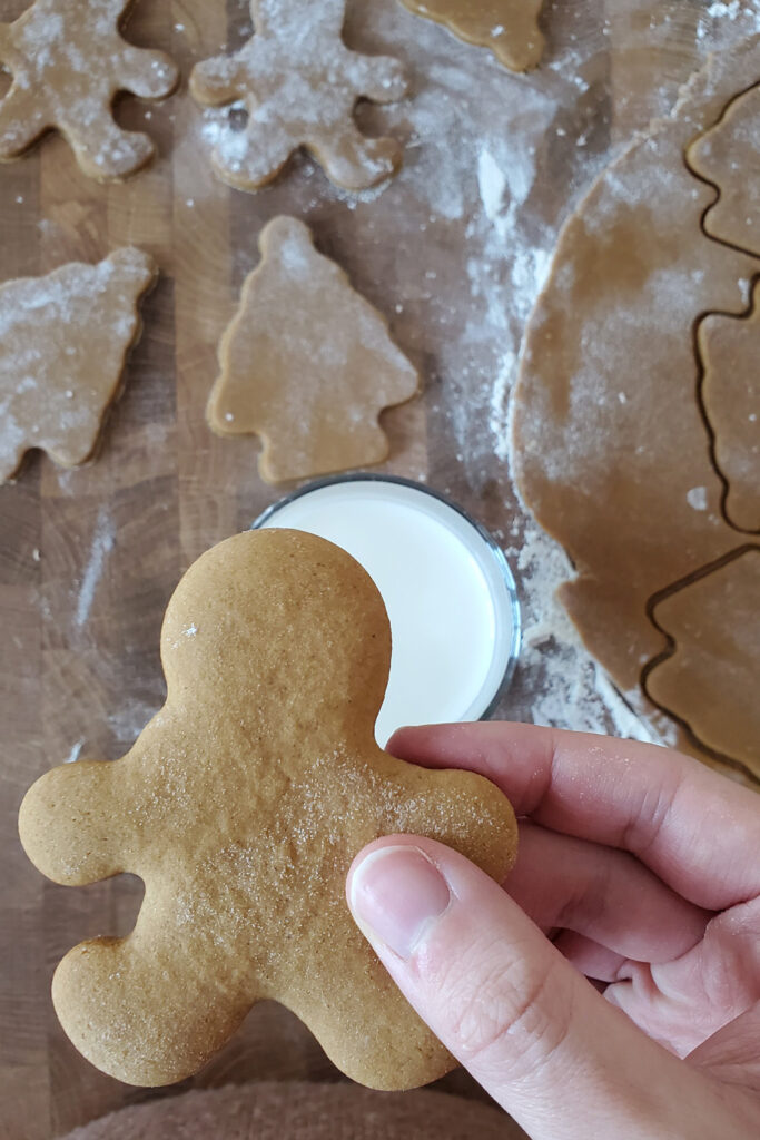 Meilleurs biscuits au pain d'épice faciles
