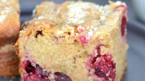 Gâteau déjeuner aux canneberges, plan rapproché dans une assiette