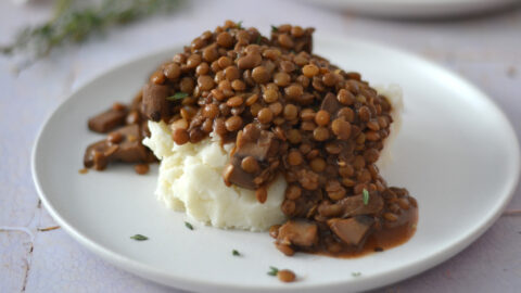 Mijoté de lentilles et champignons servi sur une purée de pommes de terre onctueuse, garni de thym dans une assiette en céramique.