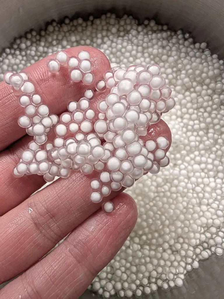 Plan rapproché des perles de tapioca mi-cuites rincées. 