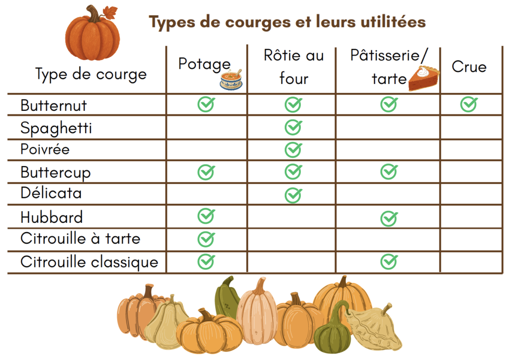Comment bien choisir sa courge et nos recettes pour les cuisiner ? tableau contenant différentes types de courges et leurs utilisations respectives